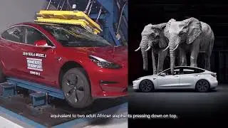 Tesla Approach to Safety