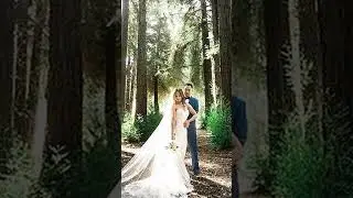WashingtonWedding.Directory