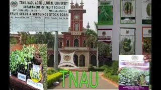 TNAU| Tamilnadu agriculture university || Best place to buy seeds, saplings,fertilizers vermicompost