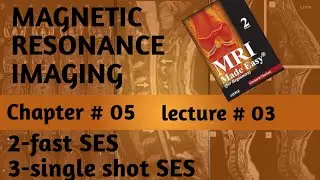 #fast spin echo sequence//turbo factor//single shot spin echo sequence//MRI//Radiology