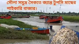 সৌলা সমুদ্র সৈকতে জ্যান্ত মাছের পাইকারি বাজার দর।