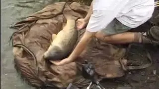 The Stonze system fish fishing carp 1