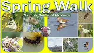 Spring Walk: Southport Seafront & Marshside