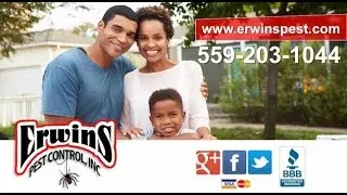 Erwins Pest Control, Inc. | Clovis CA Pest Control