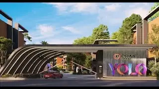 YOLO Phase 3 is Now Open for Reservations!