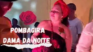 Festa Dama da Noite 2023