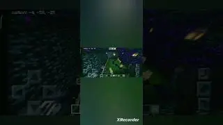 6 Wolves 🆚  2 netherite armour skeletons #minecraft #viralshorts