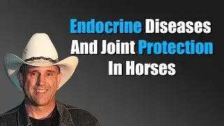 Arthritis Treatment For Horses, PPID (Cushing's), Equine Endocrine Disease, And Vitamin E For Horses