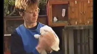 CottonTails on TV, the early years, PART 1