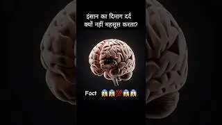 इंसान का दिमाग दर्द क्यों नहीं महसूस करता? | Shocking Brain Fact 😱🧠