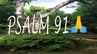 Psalm 91 NIV | Bible scripture reading #shorts