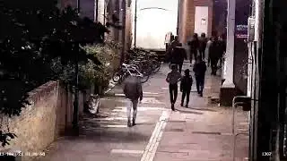 Man jailed following violent disorder in St Ives