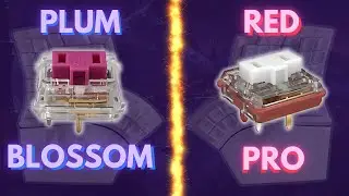 Glove80 Silent Switch Comparison &ndash; Plum Blossom vs Red Pro (Typing Test & Review)