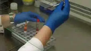 Consejo Gen&eacute;tico