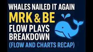 Whales Nailed It Again &mdash; MRK & BE Flow Plays Breakdown (Flow and Charts Recap)