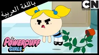 فتيات القوة | يوم مصاحبة الأولاد إلى الهلاك | كرتون نتورك