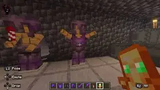 Mines a crafting a house