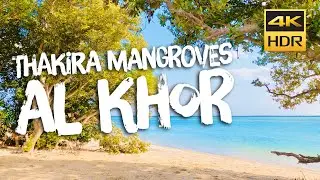 Thakira Mangroves | 4K HDR | eLens Vibe