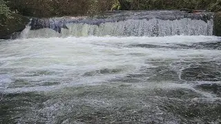 #20 30MinSmooth & Calm Waterfall Sounds (No AI, No Loop) |Whatcom Fall Park, Bellingham WA