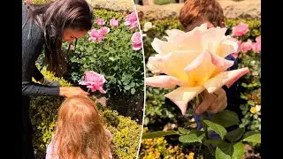 Meghan Markle's Royal Mom Life: Sweet Moments with Archie & Lilibet