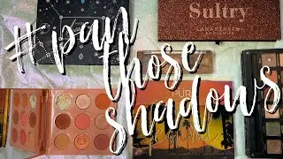 #PANTHOSEEYESHADOWS   │  UPDATE # 4