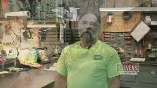 Why Stevens...Meet Bob