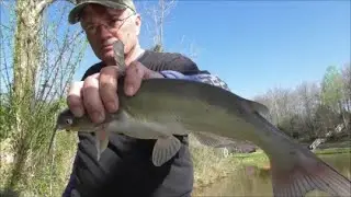 FINS Lake Fishing