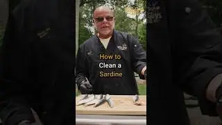 How to Gut & Clean a Sardine Like a Pro | Pro Butcher Tips