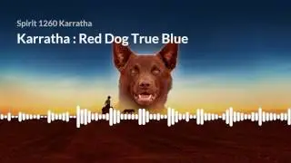 Karratha : Red Dog True Blue Interview