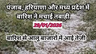 #पंजाब, हरियाणा और मध्य प्रदेश में बारिश ने मचाई तबाही।