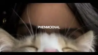 enrique iglesias — i like it [feat. pitbull] [sped up] [nightcore]