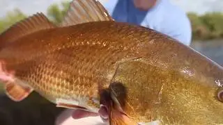 Shane Durrance Fishing Highlight Reel!