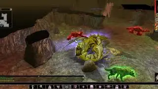 Neverwinter Nights Druid Playthrough 28