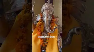 Ganesh Chaturthi Sep 6, 2024:Embrace New Beginnings with Bappa Blessings #ganeshchaturthi #ytshorts