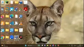 Redhat Linux 29 Basic commands for linux