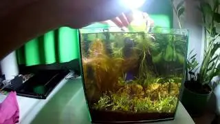 #8 Start Nano Akwarium 15L
