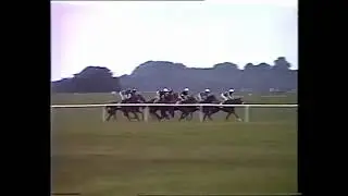 1986 Gilltown Stud Irish Oaks