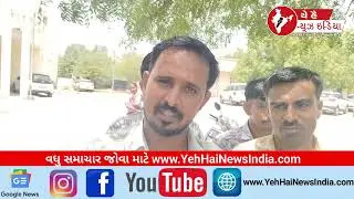 વાવમાં તોફાની કપીરાજોનો આતંક યથાવત | ગ્રામજનોનો મામલતદાર કચેરી પર રોષ | Monkey Menace in Wav