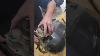 2006 Harley Davidson Street Glide flhxi Fuel Pump Removal