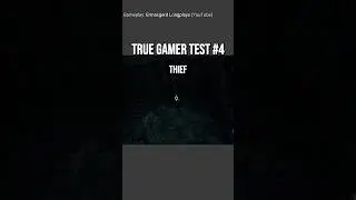 True Gamer Test #4 Thief