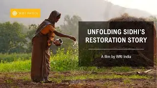 Unfolding Sidhi’s Restoration Story