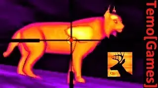 Deer Hunter [Region 20] [Trophy Hunts]