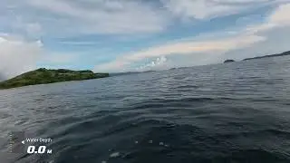 Spearfishing - tulingan 