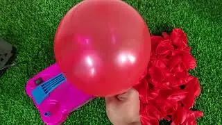Balloon Popping ASMR -So Satisfying #balloon #asmr #oddlysatisfying