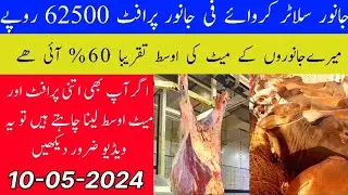 90 Days Bachra farming profit 62500 Per Janwar || Bachra Farming