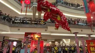 Acrobatic Lion Dance (m&uacute;a l&acirc;n 高桩舞獅) by Khuan Loke 群乐 @ The Gardens Mall, Kuala Lumpur CNY2026 0131