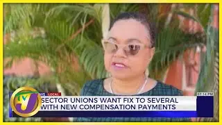 Public Sector Unions Want Fix to Issues with the New Compensation Payment | TVJ News - Dec 21 2022