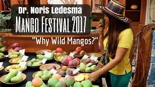 100+ Years Hunting for Mangos with Dr. Noris Ledesma (MangoFest @ Fairchild Tropical Gardens)