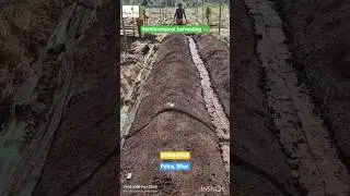 समृद्ध केचुआ खाद #shorts #organic #vermicompost #Compost #New life Organics🪱😀#farming #wormcasting