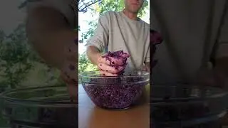 Choucroute de chou rouge d&eacute;licieuse (lacto-ferment&eacute;e)